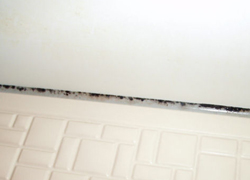 カビ(ゴムパッキン)